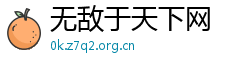 无敌于天下网